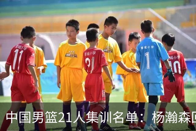 中国男篮21人集训名单：杨瀚森回归胡金秋领衔 周琦张镇麟无缘